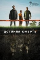Догоняя смерть/The Grave