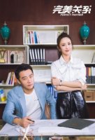 Идеальный партнер/Perfect Partner