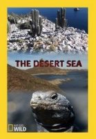 Пустынное море/The Desert Sea