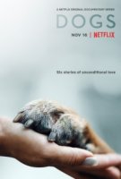 Собаки/Dogs