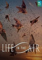 Жизнь в воздухе/Life In The Air