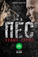 Пес 2 сезон