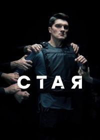 Стая (Россия)/Стая