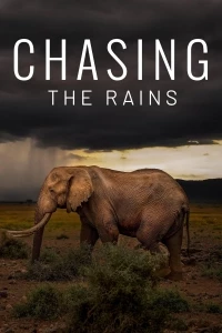 В погоне за дождями/Chasing the Rains